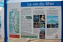 Rhin et Vieux-Brisach - 12 septembre 2009 (95)